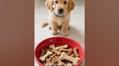Sharing Snacks! Mighty Dog | Beast Challenge Stories