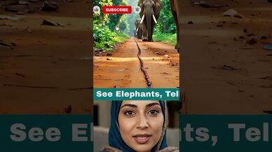 Tell Us the Other Animal names | Beast Challenge Stories