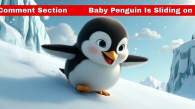 Baby Penguin Is Sliding on The Ice. Can You? | Beast challenge Stories