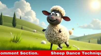 Sheep Dance Techniques. How Do You Rate It? | Beast challenge Stories