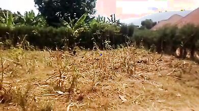 Ikibanza Kigurishwa i Bumbogo