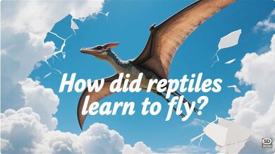 Pterosaurs Exposed | Beast challenge Stories
