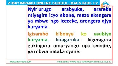 Ikinyarwanda: UMUGANI W'IMBWA N'IGISAMBO