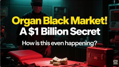 Human Organ Black Market | Beast challenge Stories