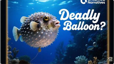 Pufferfish: Grumpy Balloon | Beast challenge Stories