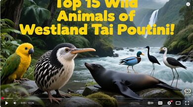 15 Animals Tai Poutini, | Beast challenge Stories