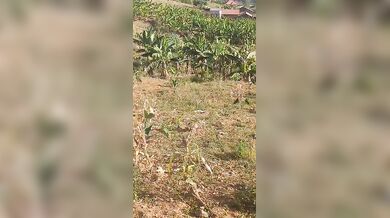 Ikibanza Kigurishwa Amafaranga Make
