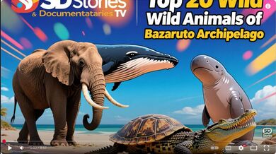 20 Animals of Bazaruto | Beast challenge Stories