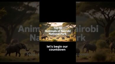Funny Shorts for Nairobi National Park | Beast Challenge Stories