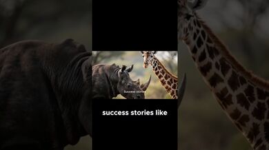 Funny Shorts for Nairobi wild park Battles | Beast Challenge Stories