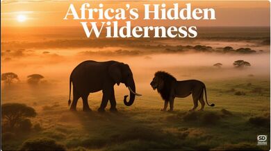 Kafue: The Last Vast Wilderness | Beast challenge Stories