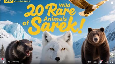 20 Rare Animals of Sarek | Beast challenge Stories