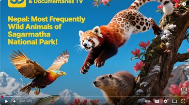 Nepal: Animals of Sagarmatha | Beast challenge Stories
