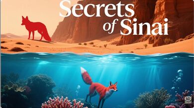 Secrets of Sinai #asmrvideo | Beast challenge Stories