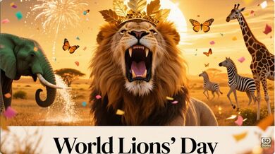 Lions Day Celebration | Beast challenge Stories