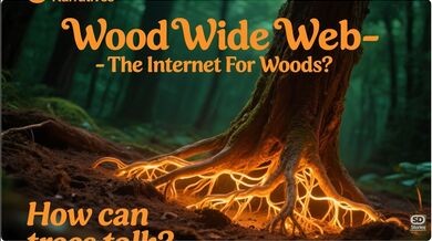 Network Connecting Trees | Beast challenge Stories