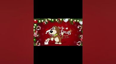 Funny Shorts for Animals' Merry Christmas | Beast Challenge Stories